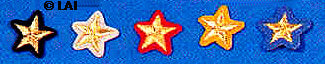 Civil War Confederate Collar Rank Insignia Stars for Major